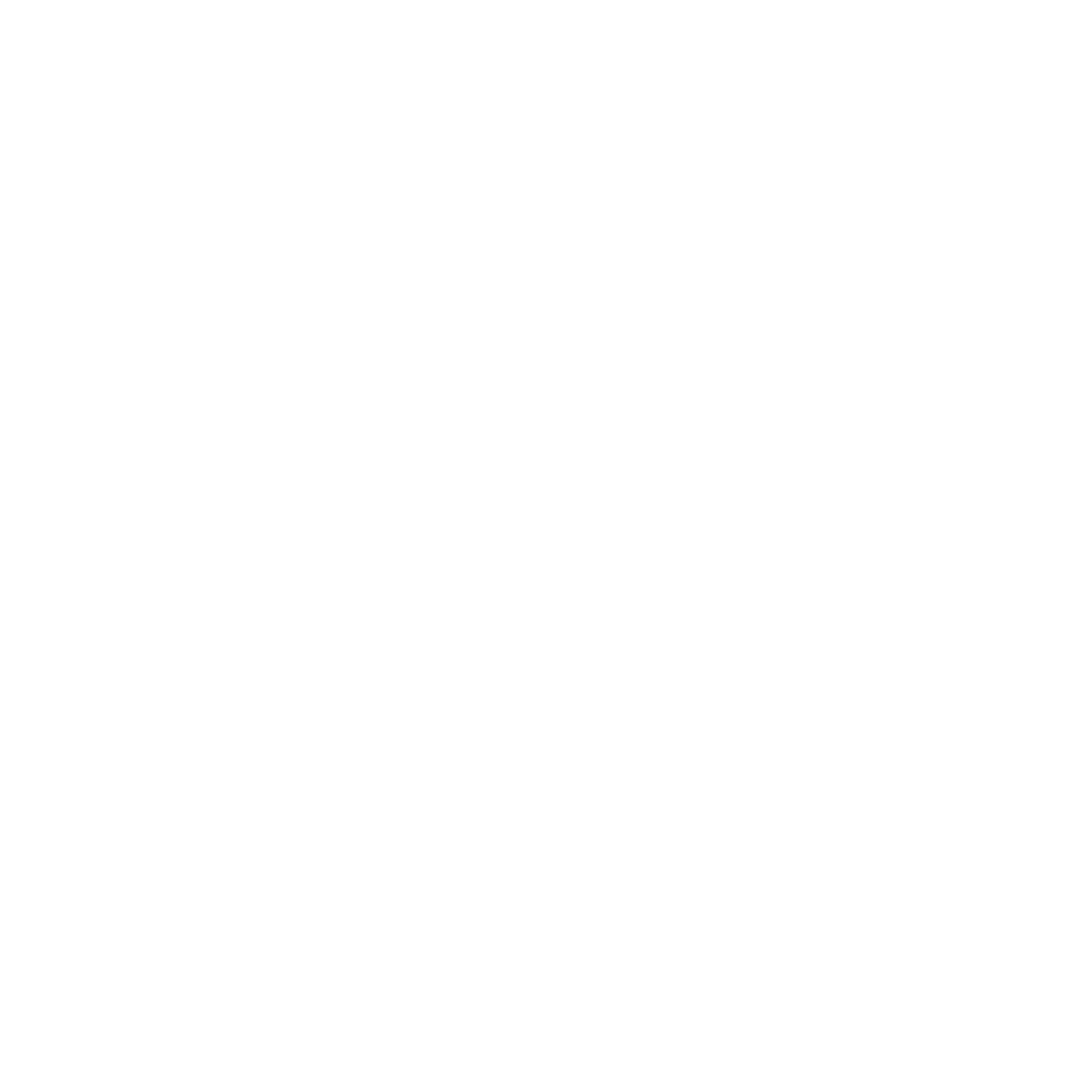 Skoolie Foundation